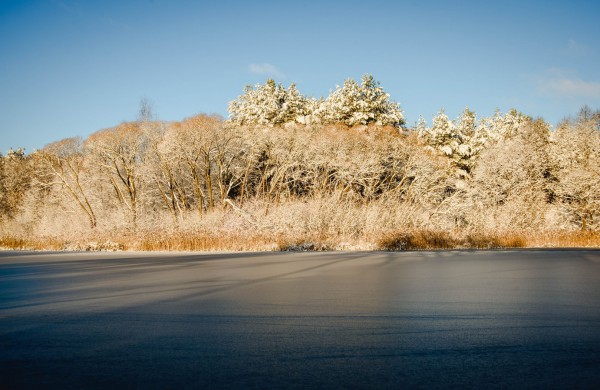 Savaitės orai: permainingi, tačiau žiema džiugins dar ne vieną dieną