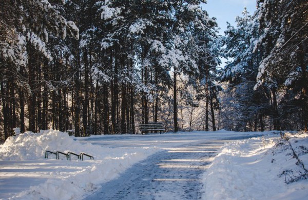 Savaitės orai: permainingi, tačiau žiema džiugins dar ne vieną dieną