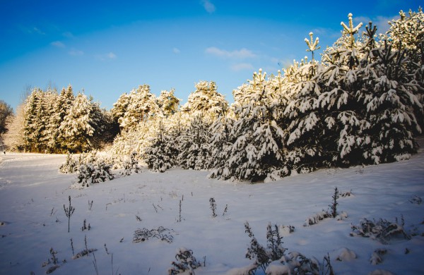 Savaitės orai: permainingi, tačiau žiema džiugins dar ne vieną dieną