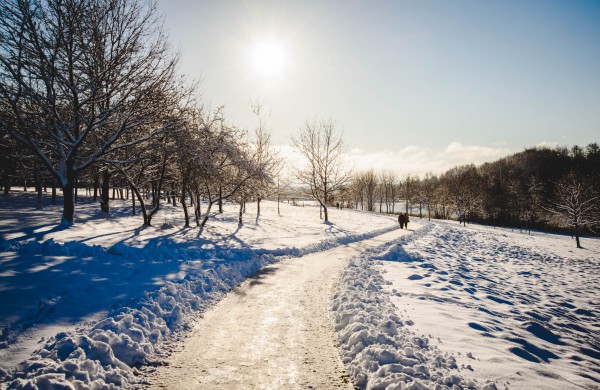 Savaitės orai: permainingi, tačiau žiema džiugins dar ne vieną dieną