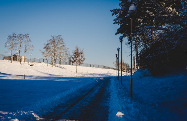 Savaitės orai: permainingi, tačiau žiema džiugins dar ne vieną dieną