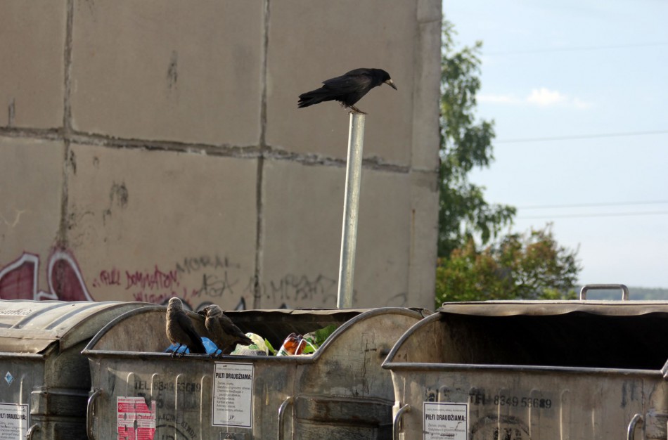 Edmundas Mulokas: „Kai vieni šiukšles rūšiuoja, kiti net nesistengia jų sudėti į konteinerius“