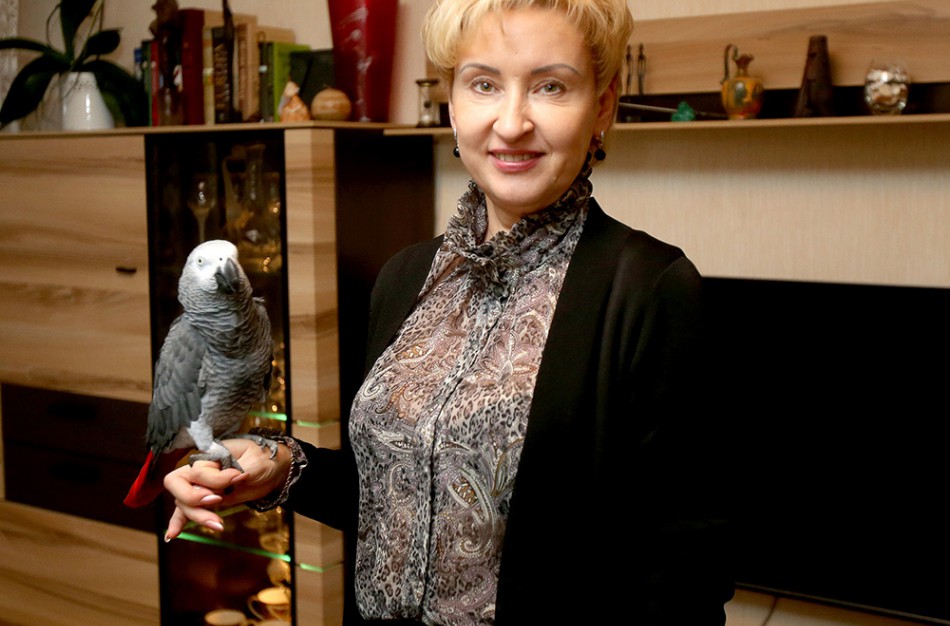 Papūgos Čiako pramoga – ne tik kalbėti, bet ir ardyti kompiuterio klaviatūrą