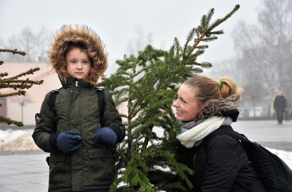 Miškininkai prieš šventes jonaviečiams dalino kalėdinių medžių šakas