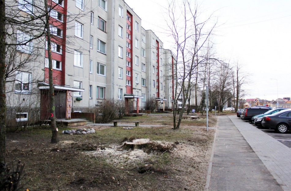 A.Kulviečio gatvės gyventojai: „Kodėl kerta medžius?“