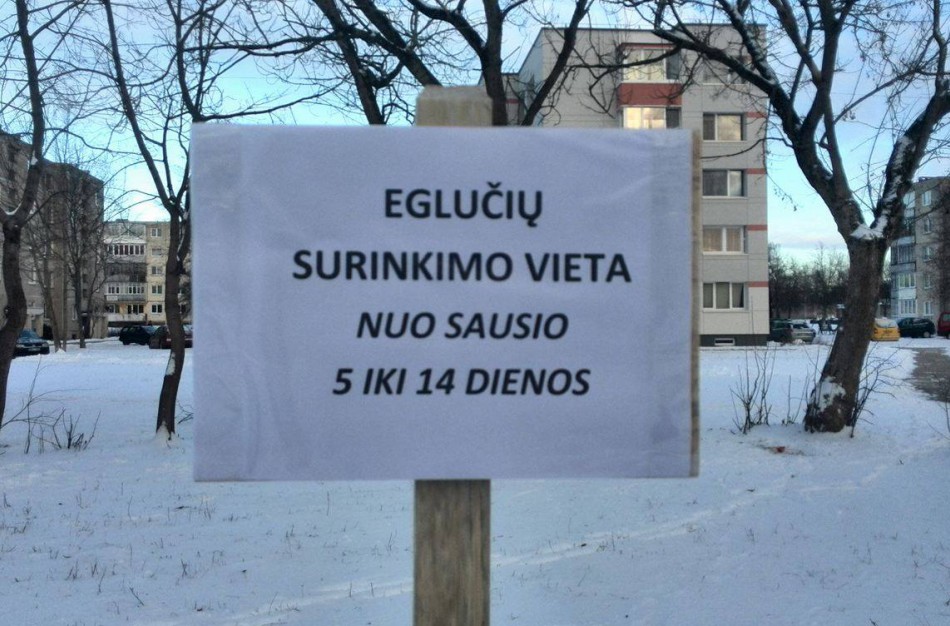 Mieste – specialios vietos kalėdinėms eglėms bei šakoms išmesti