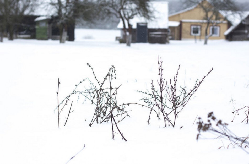 Jonavos rajone – dar viena tragedija: nesulaukęs pagalbos mirė vyras