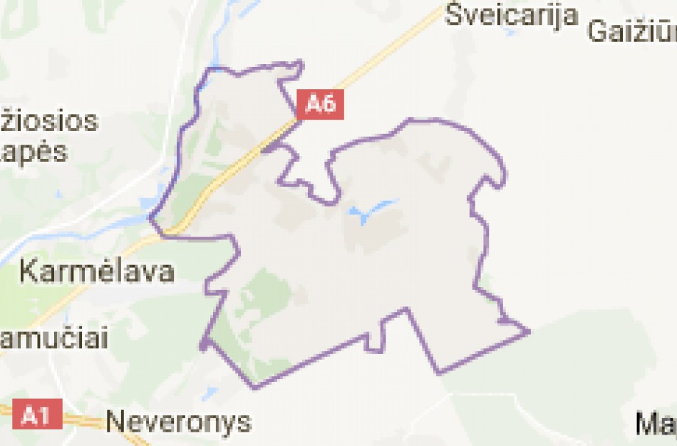 Nelaimė Užusalių seniūnijoje - obliavimo staklėmis susižalojo moteris