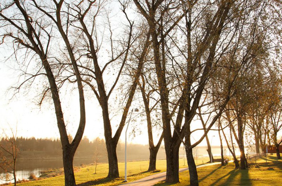 Dviračių takai Panerių ir Laukagalių gatvėse bus sujungti į vieną
