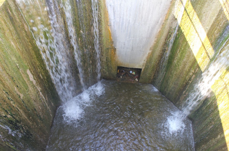 Dėl tariamai į užtvanką įmesto šuns kviesti aukštalipiai