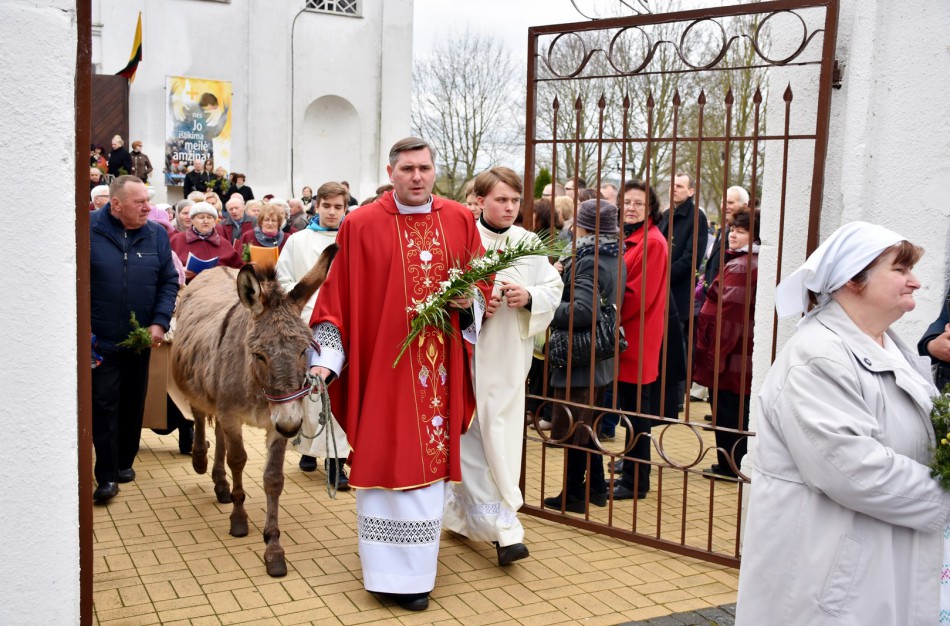 Verbų sekmadienio eisenoje – ir asilė Zoja (nuotraukos)