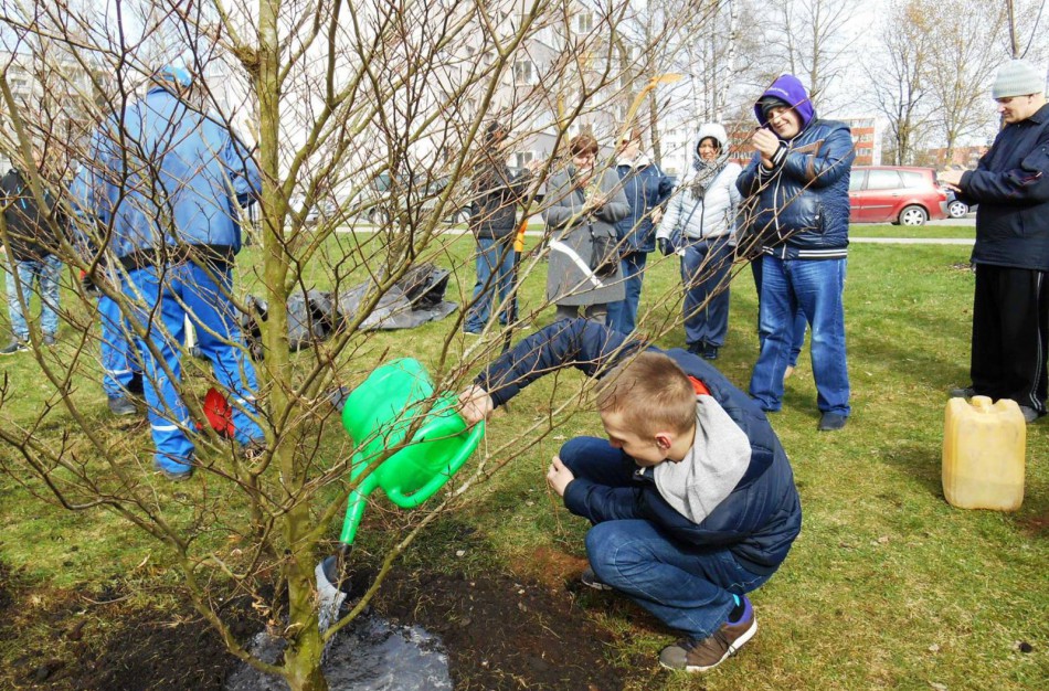 Panerių gatvėje pasodintas vilties medis