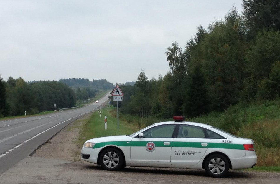 Kelių policija įspėja apie laukinių gyvūnų keliamą pavojų