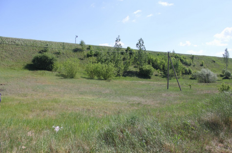 Pristatyta vieta, kur gali būti gyvūnų kapinės