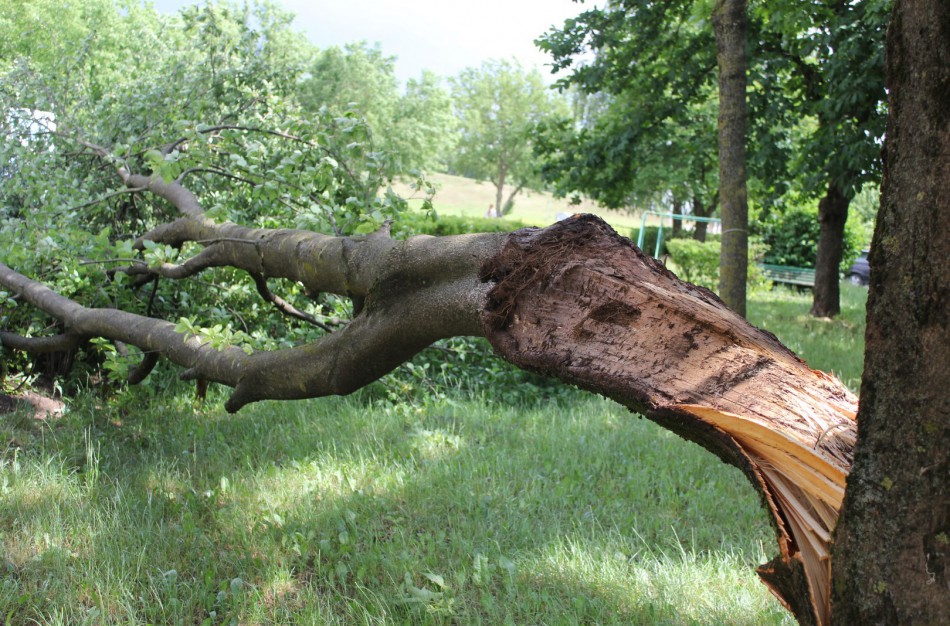 Lietuvoje stiprės vėjas