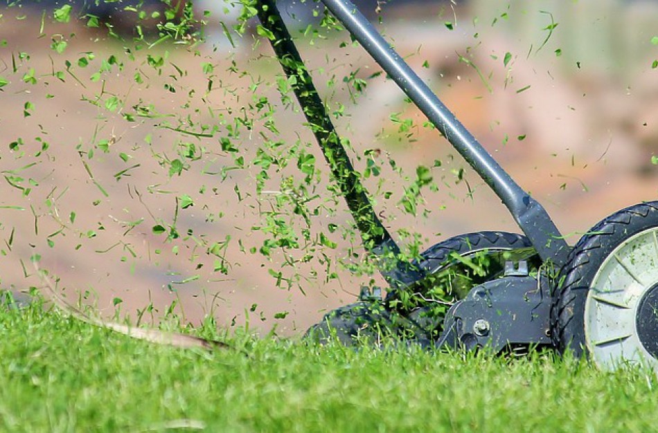 Jonaviečių pageidavimu pradedama teikti nauja paslauga – nušienautos žolės ir medžių lapų surinkimas mieste