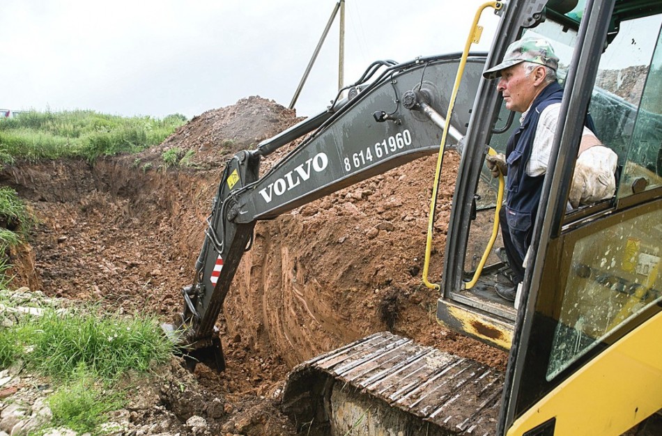 Gyventojai sunerimę – numarintos kiaulės bus užkasamos vietoje