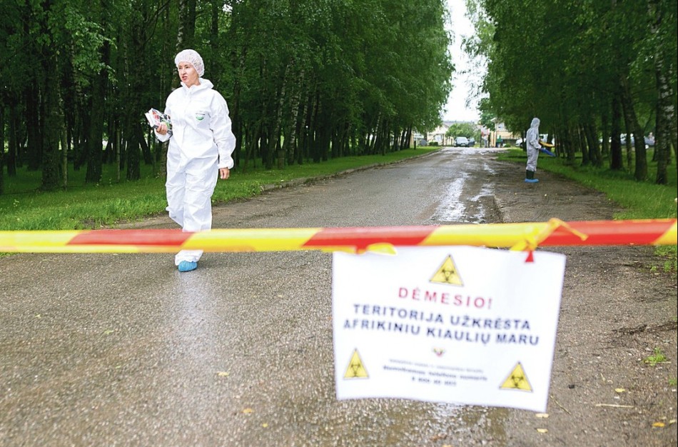 Šiluose – susitikimas su gyventojais dėl afrikinio kiaulių maro pasekmių