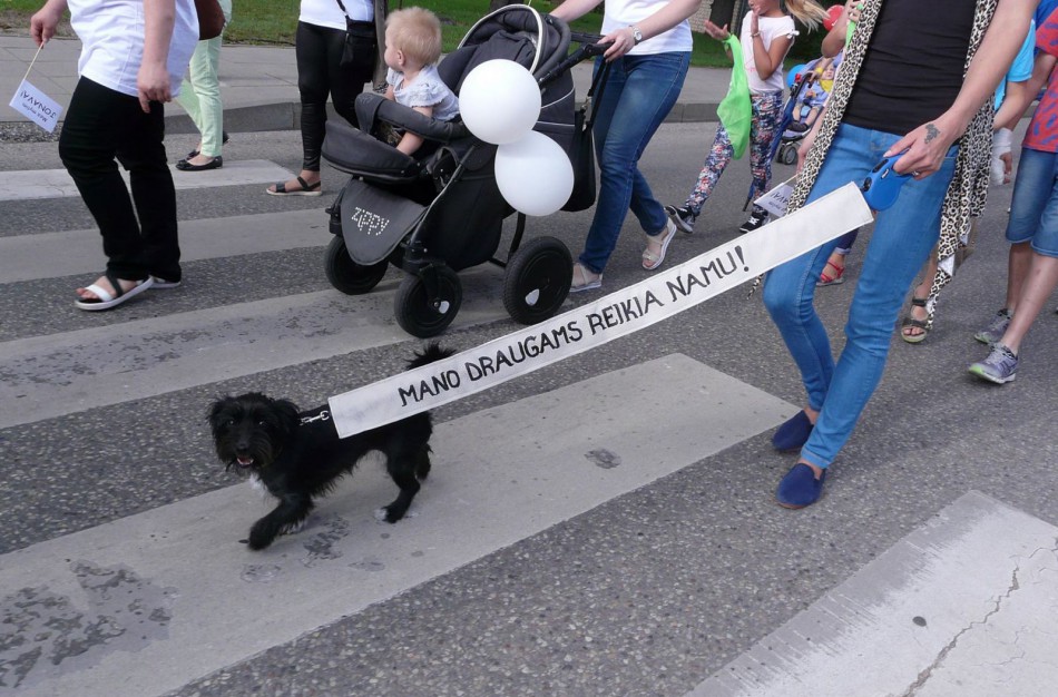 Jonavą su gimtadieniu sveikino ir keturkojai