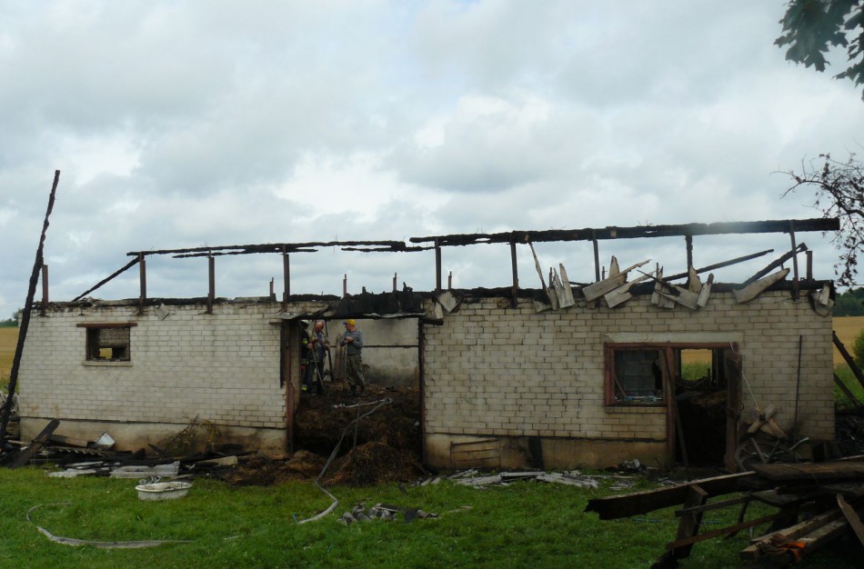 Per savaitę – du gaisrai, penki iškvietimai dėl nuvirtusių medžių