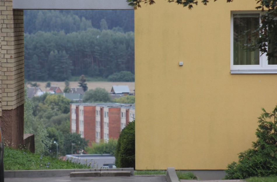 Daugiabučių namų bendrojo naudojimo objektų valdytojų kompleksinis veiklos patikrinimas