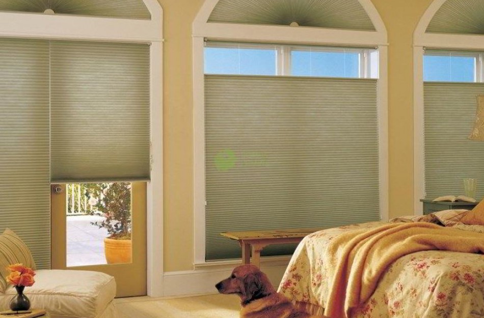 Interjeras turi patikti žmonėms ir tikti augintiniams