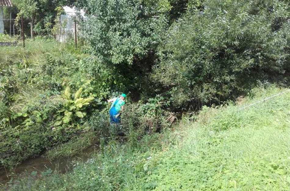 Sutvarkytos Varnakos upelio pakrantės