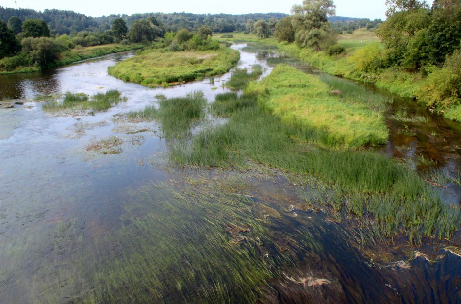 Maudytis nerekomenduojama penkiuose Jonavos rajono vandens telkiniuose