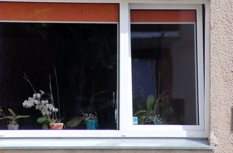 Dešimties butų Jonavos mieste pirkimas