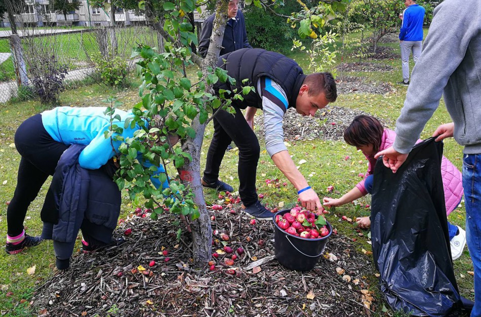 Jonavos globos namuose - obuolių skynimo šventė