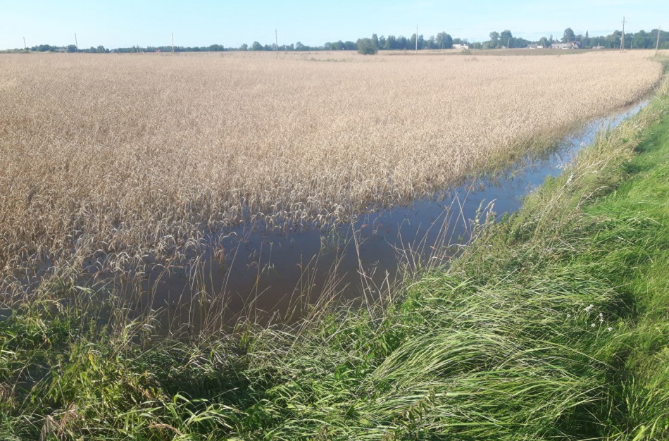 Jonavos rajone dėl prastų oro sąlygų žuvo apie 20 proc. derliaus