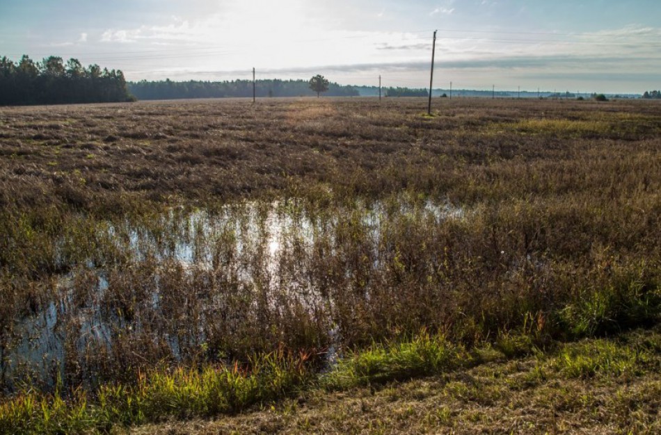 Vyriausybė skelbia ekstremaliąją situaciją dėl liūčių padarytos žalos žemdirbiams