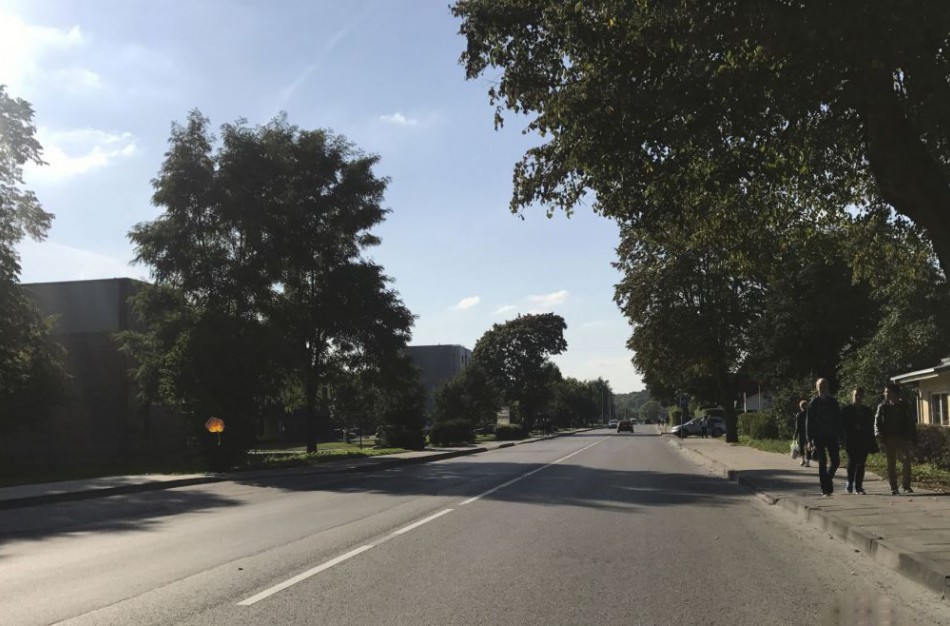 Jonavietis: Kodėl rekonstrukcijos darbai atliekami netinkamu laiku? 