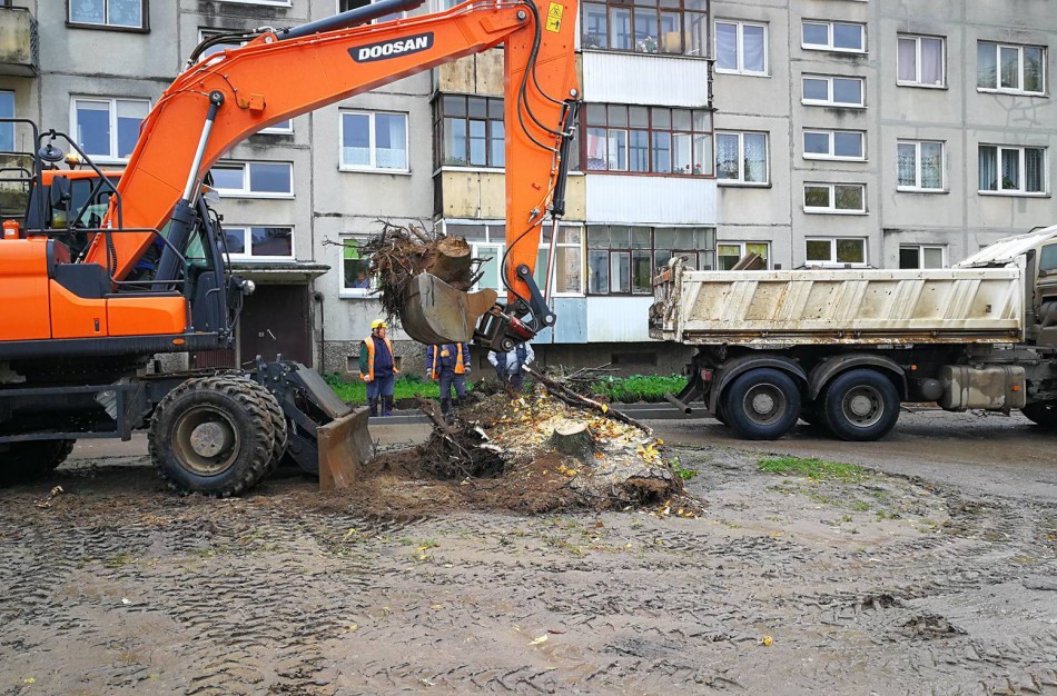 Sodų gatvės gyventojai sunerimo dėl kertamų medžių