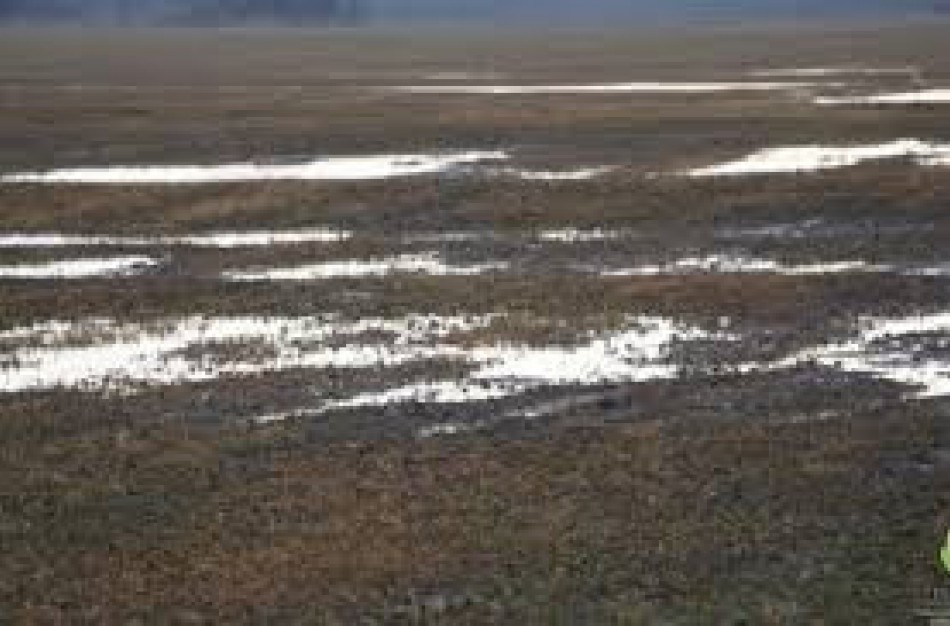 Visi nukentėję ūkininkai raginami nedelsiant kreiptis į savivaldybes