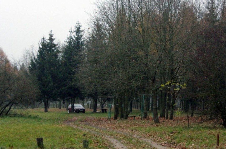 Taurostos parko teritorijai sutvarkyti rengiamas kraštotvarkos projektas, į kurio rengimą įtraukiama visuomenė 