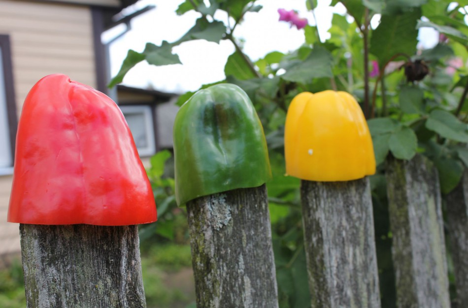 Per metus Lietuvoje atpigusių maisto produktų TOP 10