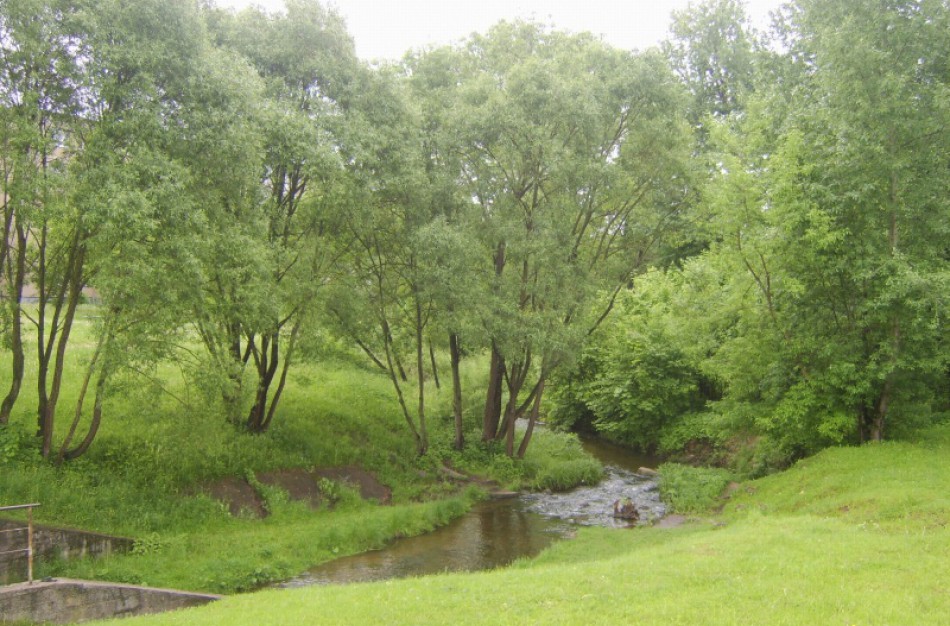 Saugantis potvynio Jonavoje pylimo nestatys: blogai paskaičiavo