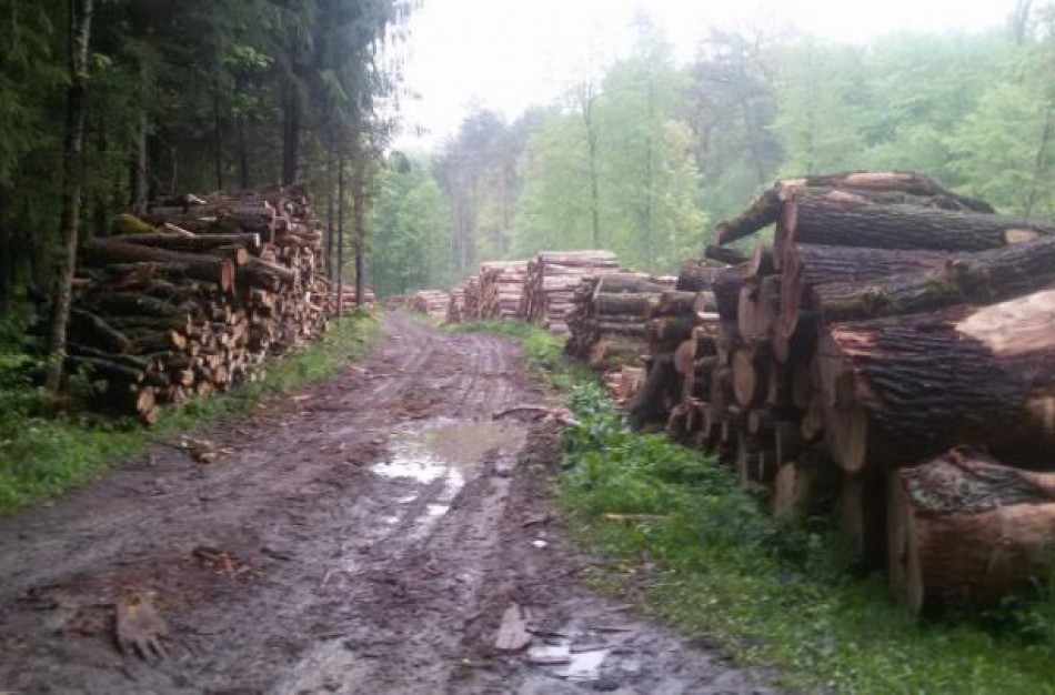 Dėl laikotarpio, kurio metu ypatingai didelė kelių sugadinimo tikimybė, nustatymo