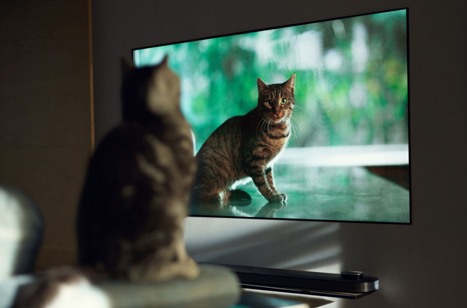 Dabar ir prieš 10 metų: televizorių (r)evoliucija