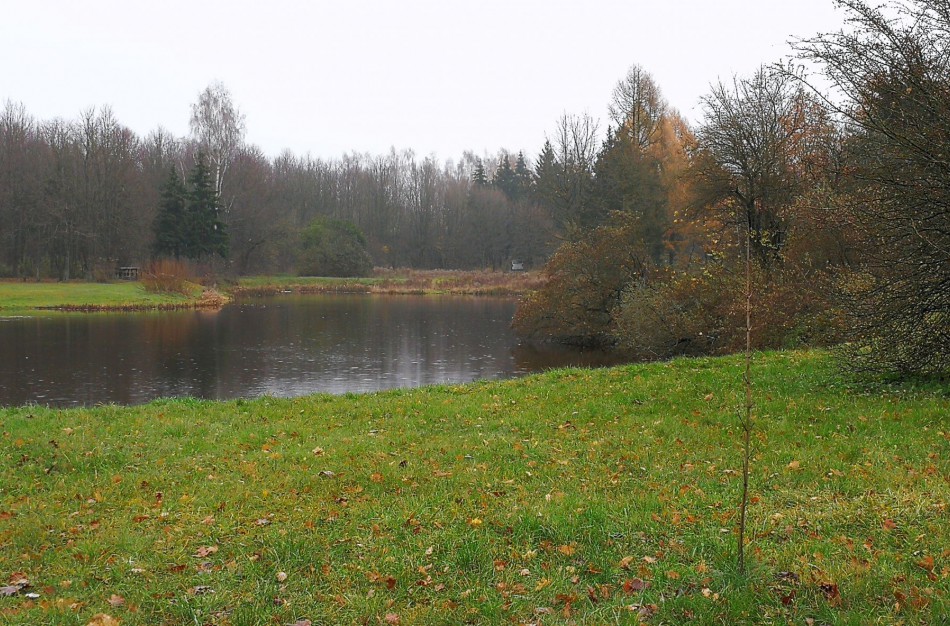 Savivaldybės aplinkos monitoringo programa - tik biudžeto lėšų švaistymas