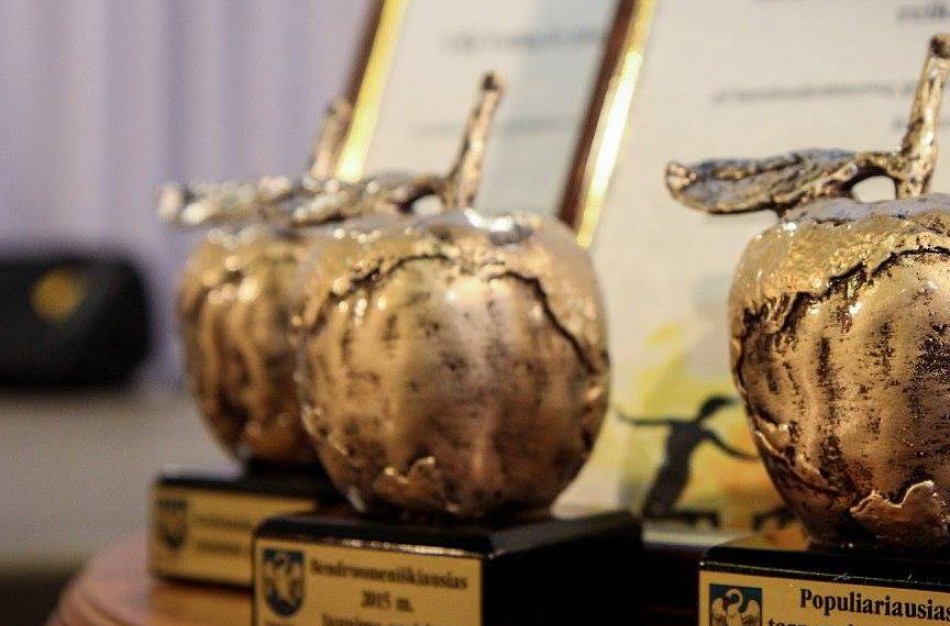 Jau galima rinkti populiariausią jaunimo projektą Jonavoje 