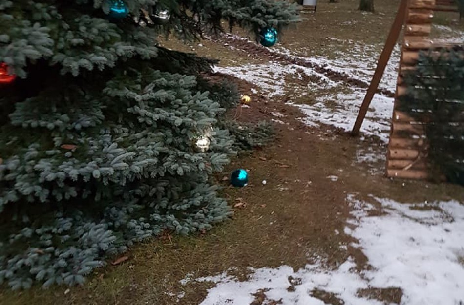 Grinčas pavogė Kalėdas Juškonyse