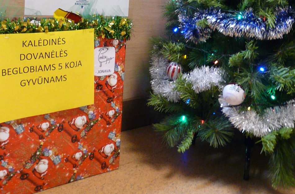 Jūs vis dar galite padovanoti savo miesto keturkojams benamiams Kalėdas