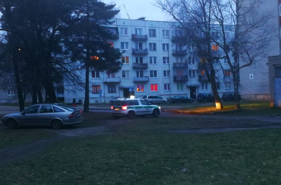 Sulaikytas pirotechnikos gaminius galimai nelegaliai platinęs asmuo