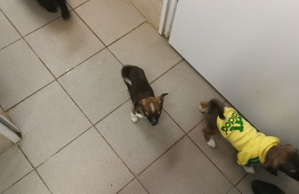 Žmonės "iš pašaukimo" - jiems jau vieneri !