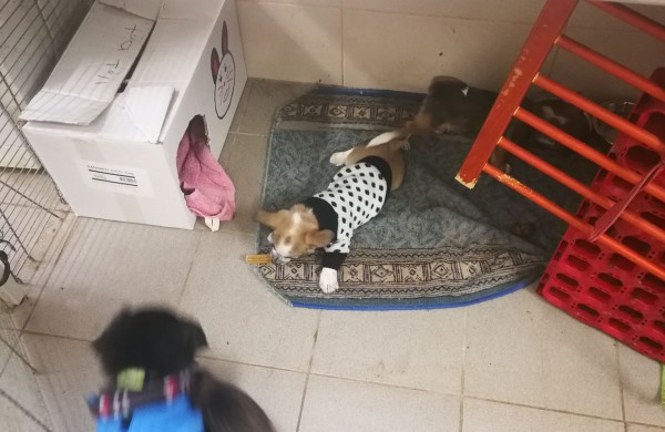 Žmonės "iš pašaukimo" - jiems jau vieneri !