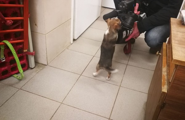 Žmonės "iš pašaukimo" - jiems jau vieneri !