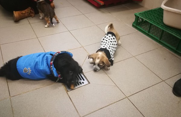 Žmonės "iš pašaukimo" - jiems jau vieneri !