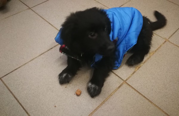 Žmonės "iš pašaukimo" - jiems jau vieneri !